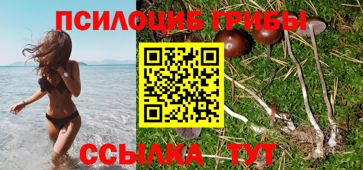 Кирово-Чепецк  Галлюциногенные грибы Magic Shrooms  Вход с VPN 